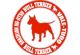 Новый бренд этой весны - BULL TERRIER
